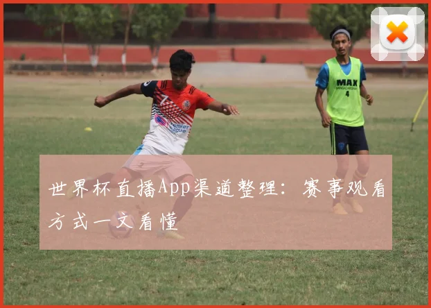 世界杯直播App渠道整理：赛事观看方式一文看懂